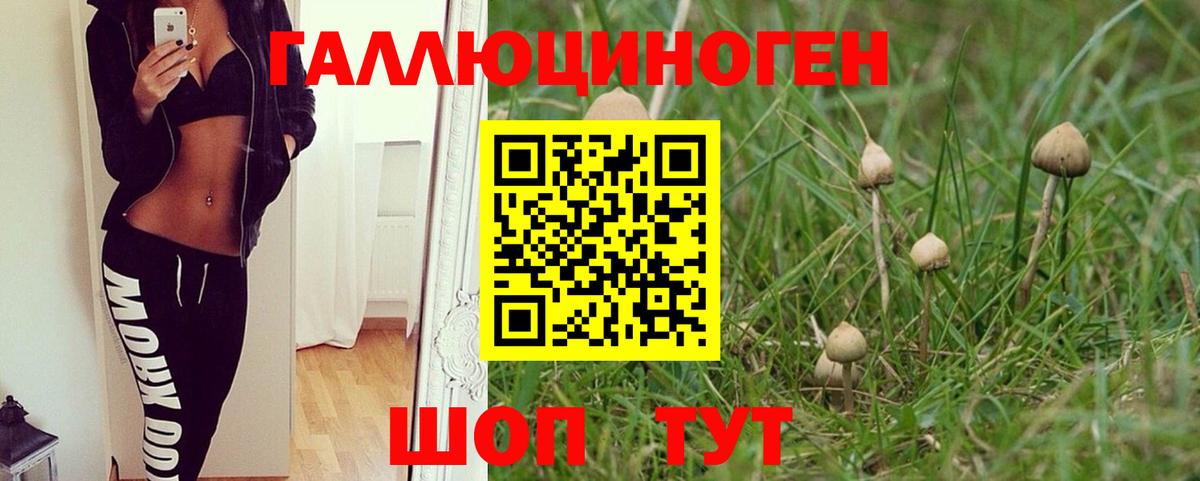 Псилоцибиновые грибы мухоморы Дивногорск