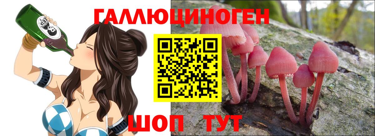 Дивногорск  Псилоцибиновые грибы Magic Shrooms  Вход с VPN  Галлюциногенные грибы MAGIC MUSHROOMS 